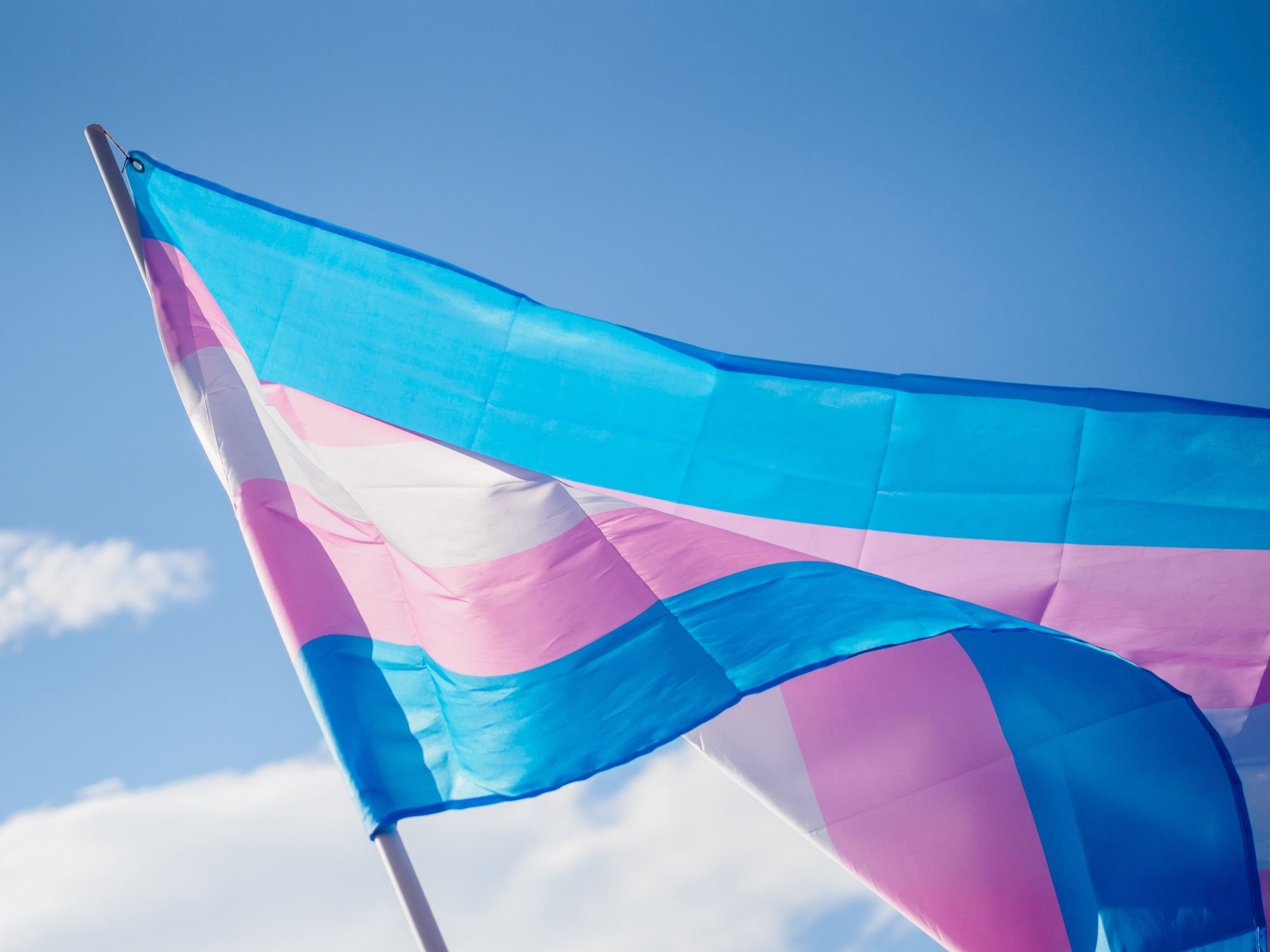 Trans personen hebben altijd bestaan